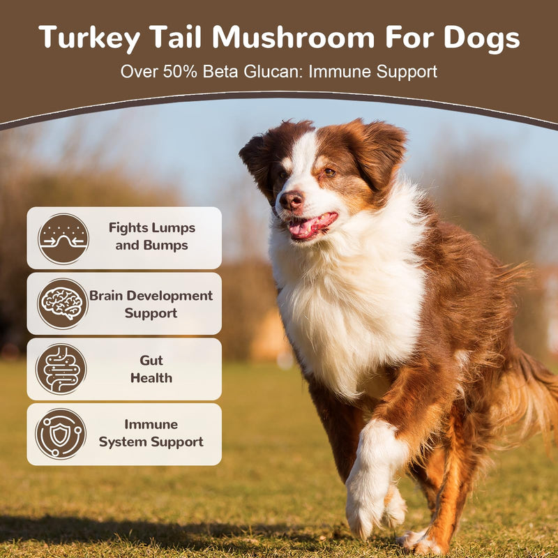 Turkey Tail Mushroom for Dogs, Organic 10 Mushroom Blend for Lumps and Bumps, Dog Herbal Supplements Probiotic with 50% β-Glucan, Joint Gut Immune Skin Support - 120g Chicken