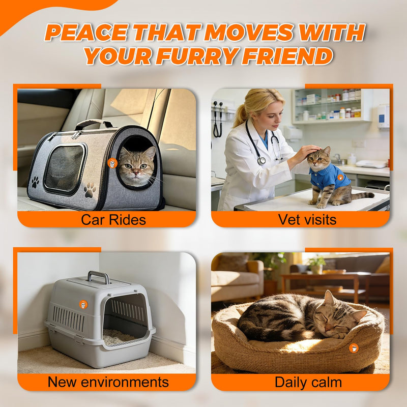 PAW PLANET Cat Pheromones Calming Patches to Promote Relaxation, Multi-cat Social Comfort & Interaction, Daily Home Use & No Plug-in Needed, Ideal for Travel & Support, 12 Count (Orange) Orange