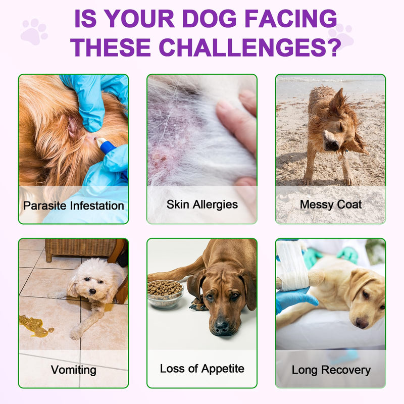 Dog Allergy Relief Chews, Dog Allergy Relief Treats for Itching Skin, Anti-Itch for Dogs, Immune Supplement, Seasonal Allergies, All Breeds and Sizes - 120 Grain