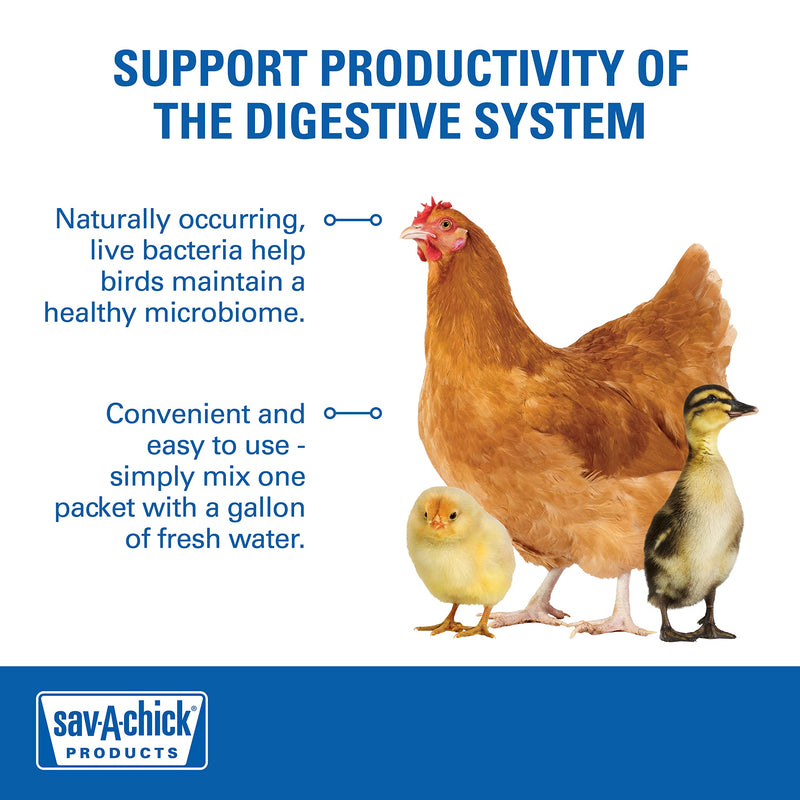 Sav-A-Chick® Probiotic Supplement | 1 strip (3 - 0.17 oz packets) - PawsPlanet Australia