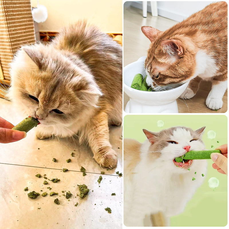 Freezed Drying Cat Grass Stick, Cat Grass Teething Sticks Snacks for Cats, Edible Dry Cats Treats for Teeth Cleaning and Hairball Removal, Made in USA