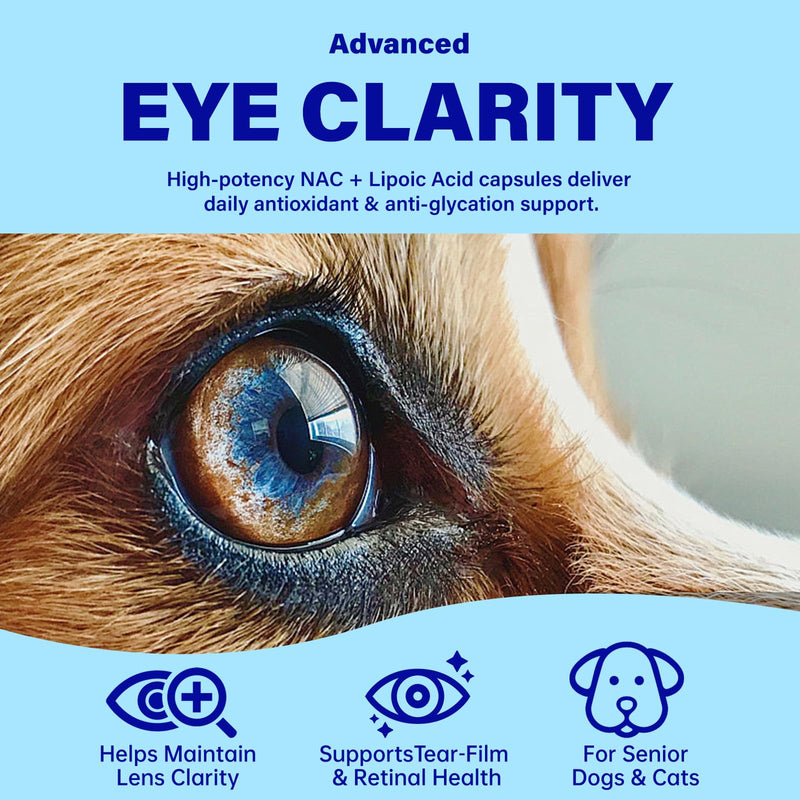 Eye Supplements for Dogs - Vision Support Soft Chews with Lutein, DHA & Vitamin C | 120ct Salmon Flavor Tear Stain Chews | Cataract & Dry Eye Relief Supplement (90 Ct)