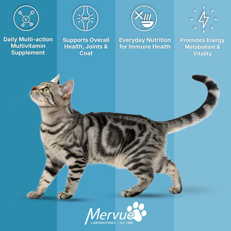 Mervue Multivitamin + Immune Support for Cats – Pre-Measured Cat Multivitamin Gel Packets for Daily Vitality – Formula with Beta Glucans and Taurine for Cats for Natural Defenses (14, 5ml Packets)