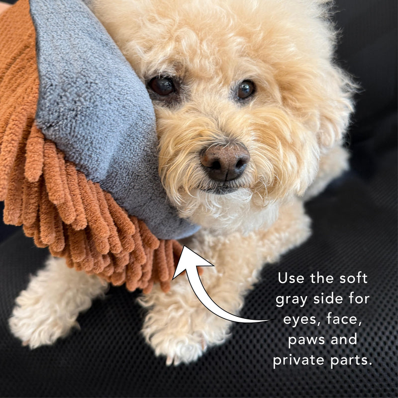 Pride and Groom THE MITT KIT: A Waterless Bath for Your Dog - Foaming Dry Shampoo and a Pet Sensitive Glove for a Rinse Free Cleanse and to Eliminate Odor - PawsPlanet Australia