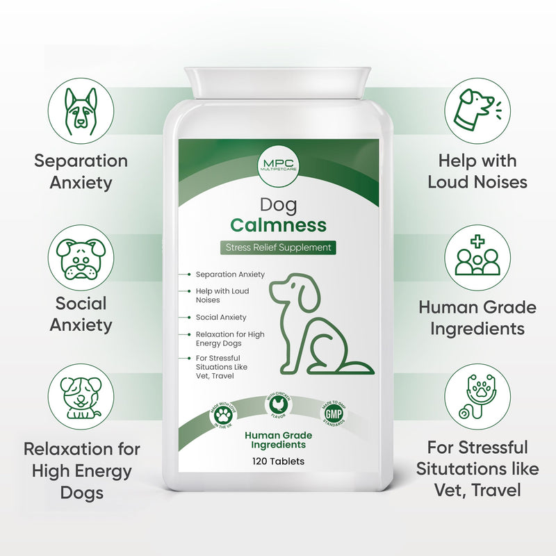 Calming Chews for Dogs – Daily Anxiety & Hyperactivity Support | L-Theanine, Taurine, Magnesium & Ginger | For Separation, Storms, Fireworks & Travel | Chicken Flavor Tablets | UK GMP | 120 Ct