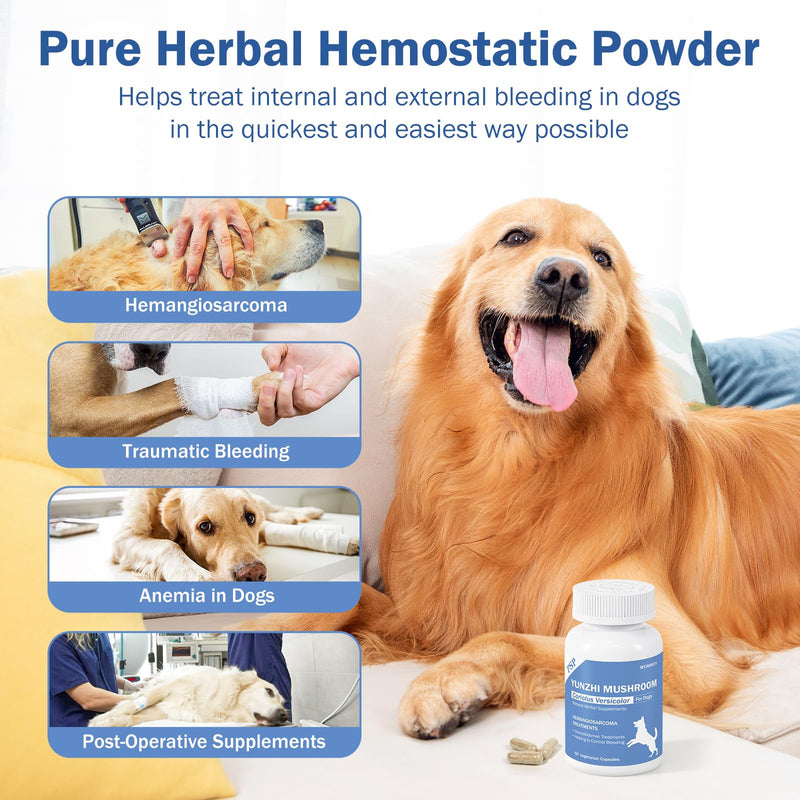 Quick Stop Bleeding for Dogs, Yunnan Sanqi Capsules for Dogs for Hemangiosarcoma, Hemoabdomen, Severe Bruising, Hemangiosarcoma & Hemoabdomen - Rich in PSP & Beta Glucans, Turkey Tail 60 Capsules