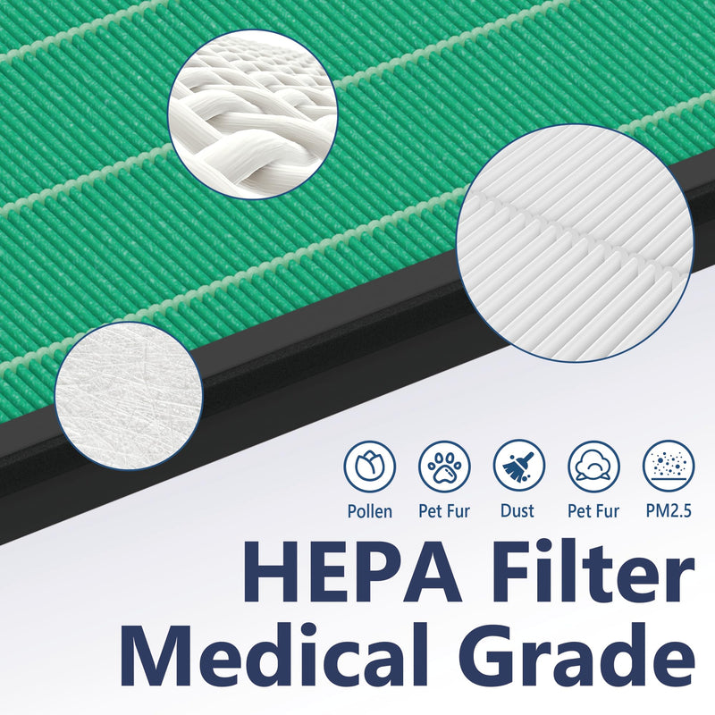 2 Packs 150 160 True HEPA Replacement Filter Set for Coway Airmega 150 160 150(K) 150(P) Air Cleaner Purifier with 8 Activated Carbon Filters, Part Number AP-1019C-FP 2 Packs
