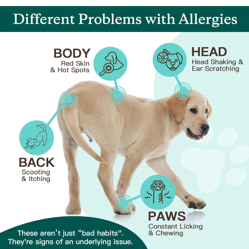NATURE TARGET Dog Allergy Chews - Dog Allergy Relief, for Skin, Coat, Anti-Itch, Seasonal Allergies, Scratching, Pawlicking, 105 Freeze Dried Chews