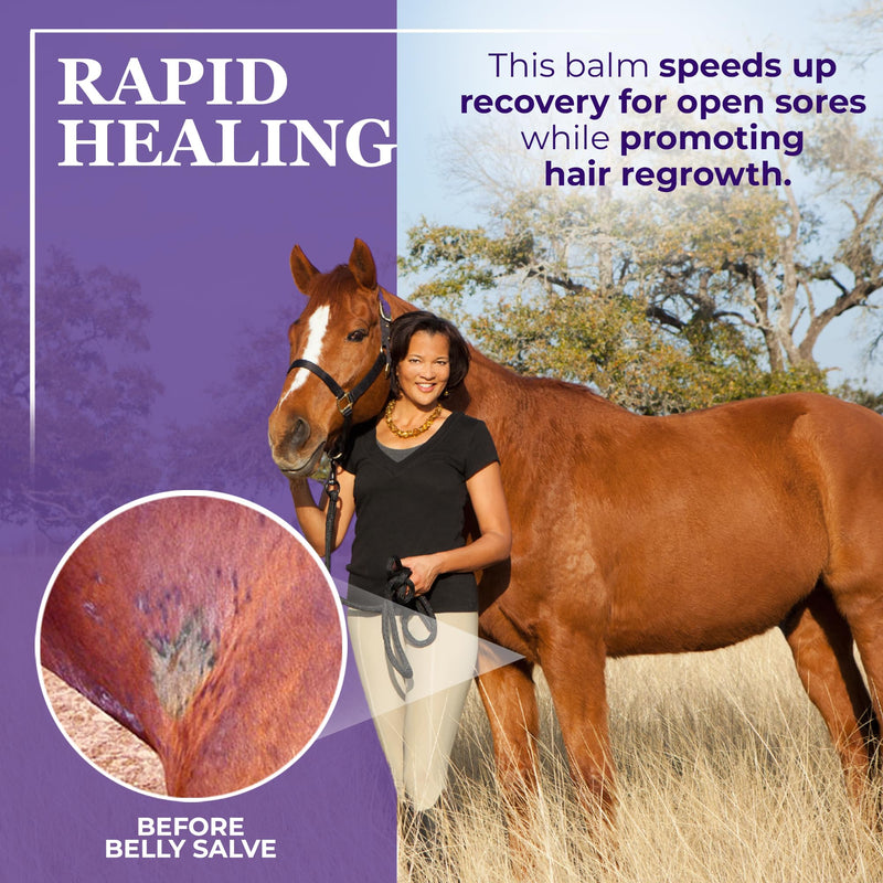 Farrier’s Wife Belly Salve-Natural Soothing Salve for Horses| Helps Fly Bite Dermatitis| Promotes Hair Growth| Belly Balm| Horse Sweet Itch Ointment - PawsPlanet Australia