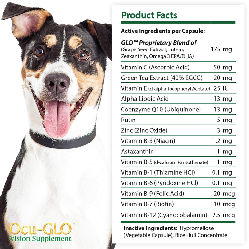 Ocu-GLO PB Vision Supplement - Easy to Administer Powder Blend with Lutein, Omega-3 Fatty Acids, Grape Seed Extract and Antioxidants to Promote Eye Health Small Dog & Cats - PawsPlanet Australia