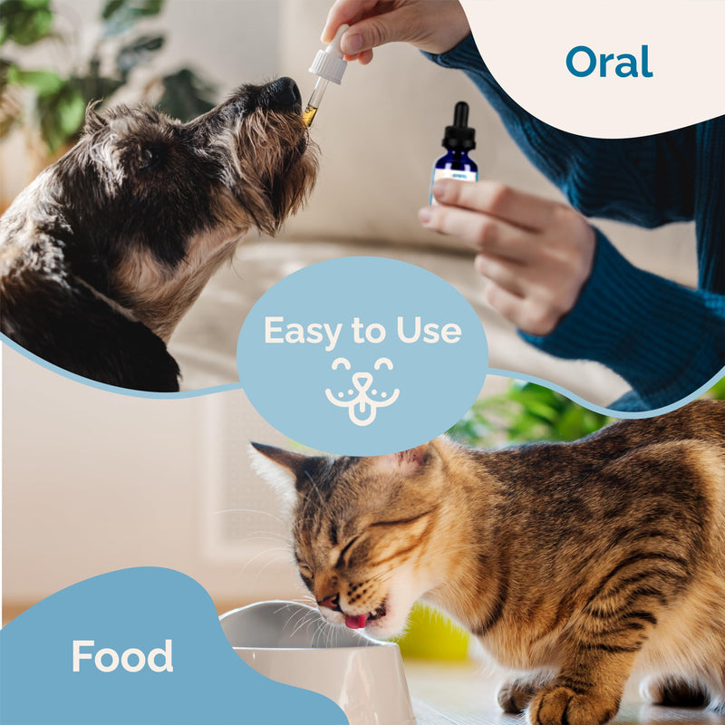 PranaPets Sinus Support Liquid Supplement for Pets | Naturally Supports Cat & Dog Sinus Relief | Natural Formula for Congestion - PawsPlanet Australia