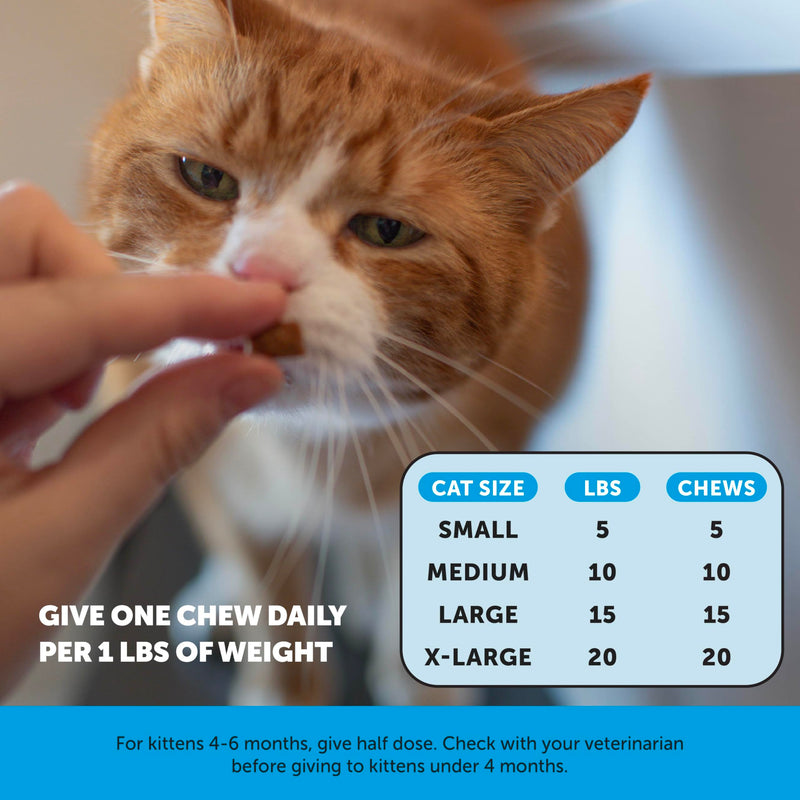 Cat Multivitamin & Skin Health Virtual Bundle – Multivitamin Chews 90 Day + Skin & Coat Health Chews 30 Day Supply