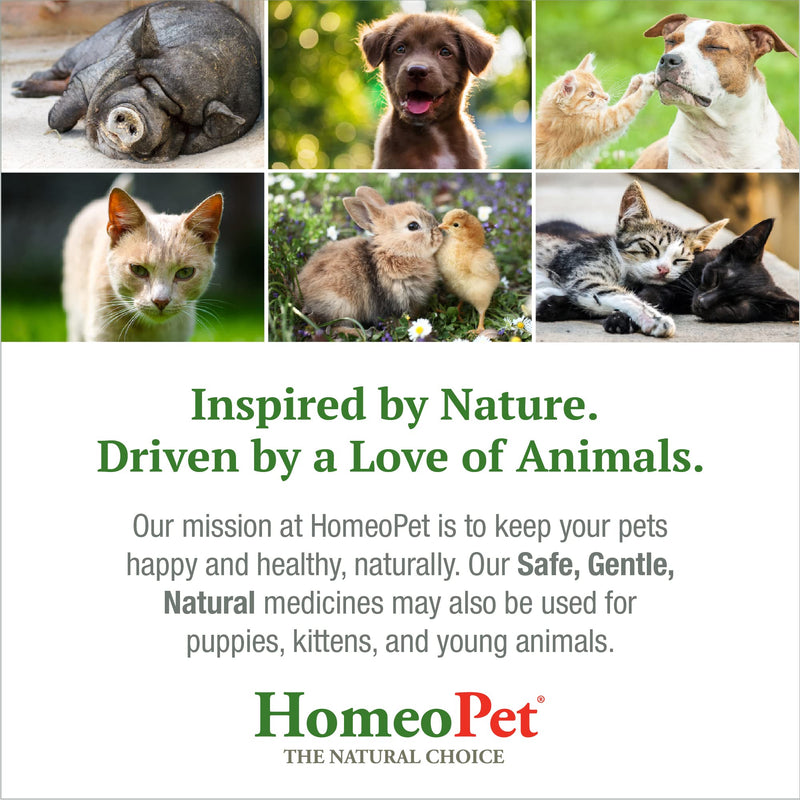 HomeoPet Skin and Itch, Skin and Coat Support for Pets, 15 Milliliters 15ml - PawsPlanet Australia