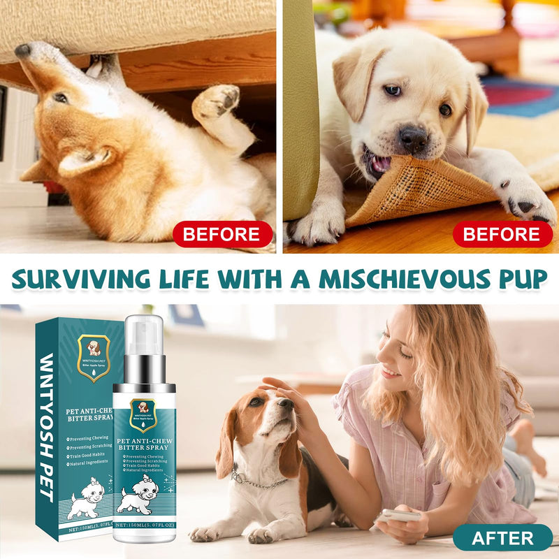 LIyun&Hang Enhanced Bitter Apple Spray for Dogs to Stop Chewing and Licking, No Chew Spray for Dogs, Stop Licking Wounds and Hot Spots, Protecting Furniture, Alcohol Free/Non-Toxic (Green) (Green) Green