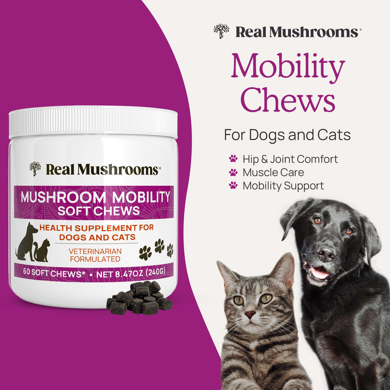 Real Mushrooms Mobility Chews - Hip and Joint Supplement for Dogs and Cats - Green Lipped Mussel Powder and Organic Ergo Gold Vitamins for Flexibility, Mobility, Hip and Joint Support (240 ct) - PawsPlanet Australia
