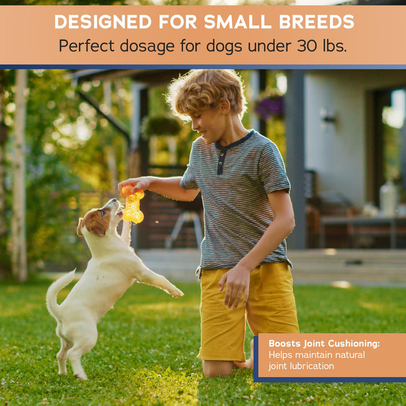Stratford Pharmaceuticals Joint Support Minis Soft Chews for Small Dogs w/ Glucosamine Chondroitin MSM, Joint and Hip Pain Relief, 60 Count - PawsPlanet Australia