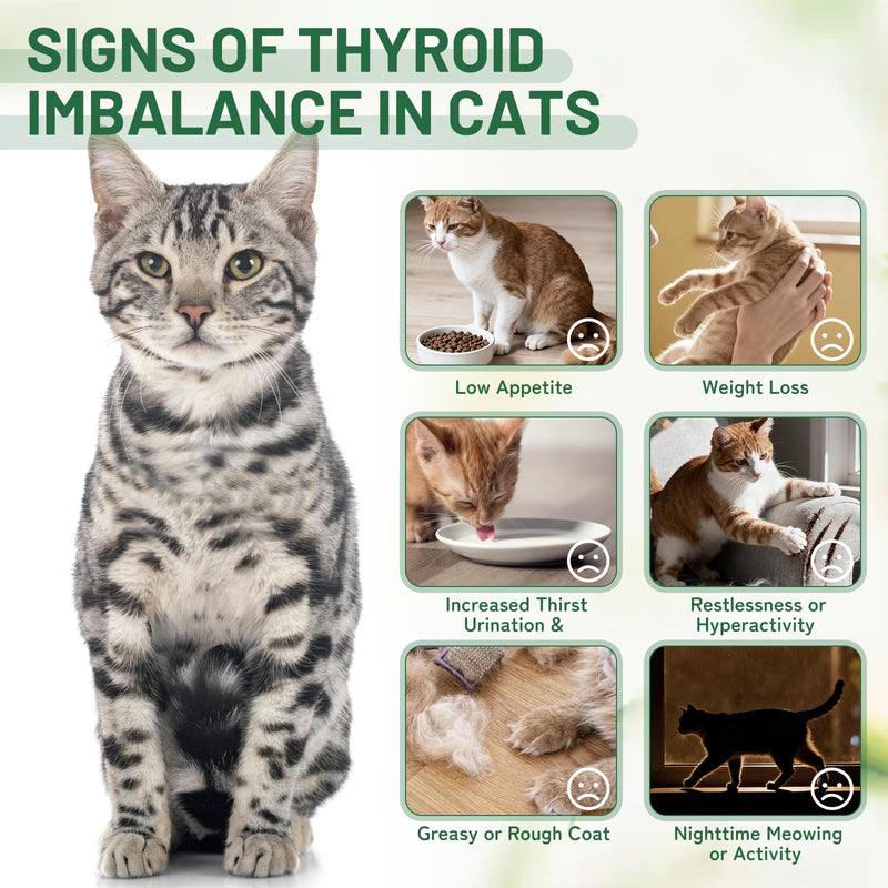 Thyroid Support for Cats - Effective Appetite Stimulant and Weight Gainer,Helps Balance Metabolism and Promote Healthy Weight Gain for Cats,Vet-Formulated Herbal Supplement–with Bugleweed, Lemon Balm