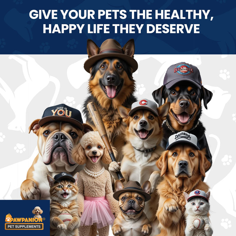 Allergy & Immune Soft Chews for Cats, Itchy Skin & Seasonal Allergy Relief, Omega 3 + Colostrum + Probiotics, Immune Support, 60 Soft Chews Bacon Flavor