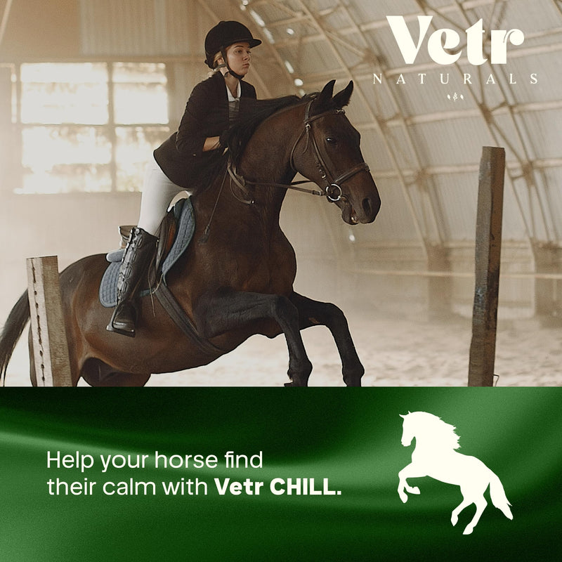 VetrChill Calming Gel for Horses - Apple Flavored Oral Supplement with L-Theanine and Melatonin - Supports Relaxation and Focus - Single Tube - Vet-Formulated in USA