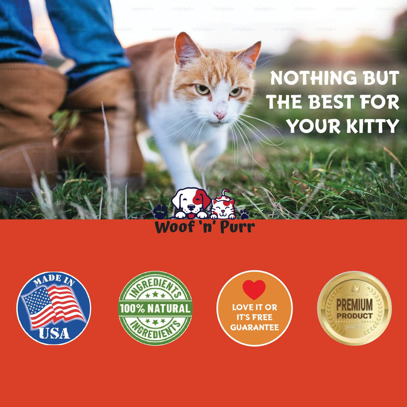 Natural Cat Antibiotic - Antibiotics for Cats - Pet Antibiotics - Cat Antibiotics - Cat Allergy Relief for Cats - Antibiotic for Cats - Cat UTI Antibiotics - 1 fl oz: Roast Chicken Flavor - PawsPlanet Australia