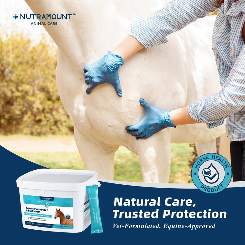 Horse Vitamin E & Selenium Supplement Powder – Natural Vitamin E 24% & Yeast Selenium – Daily Equine Antioxidant & Muscle Support – 100 Day Supply Big Tub