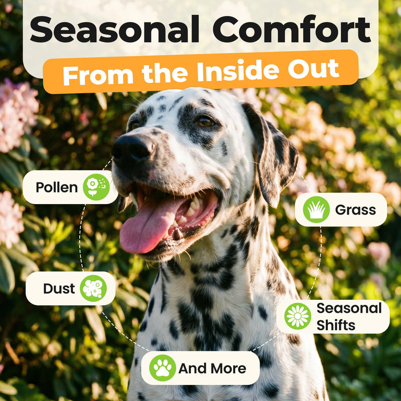 Better Dog Supplements by Cesar Millan® Allergy Balance, Dog Supplements for Dog Allergy, & Seasonal Comfort, Immune Support, Skin & Coat Health, Herbal, NASC Certified 4oz
