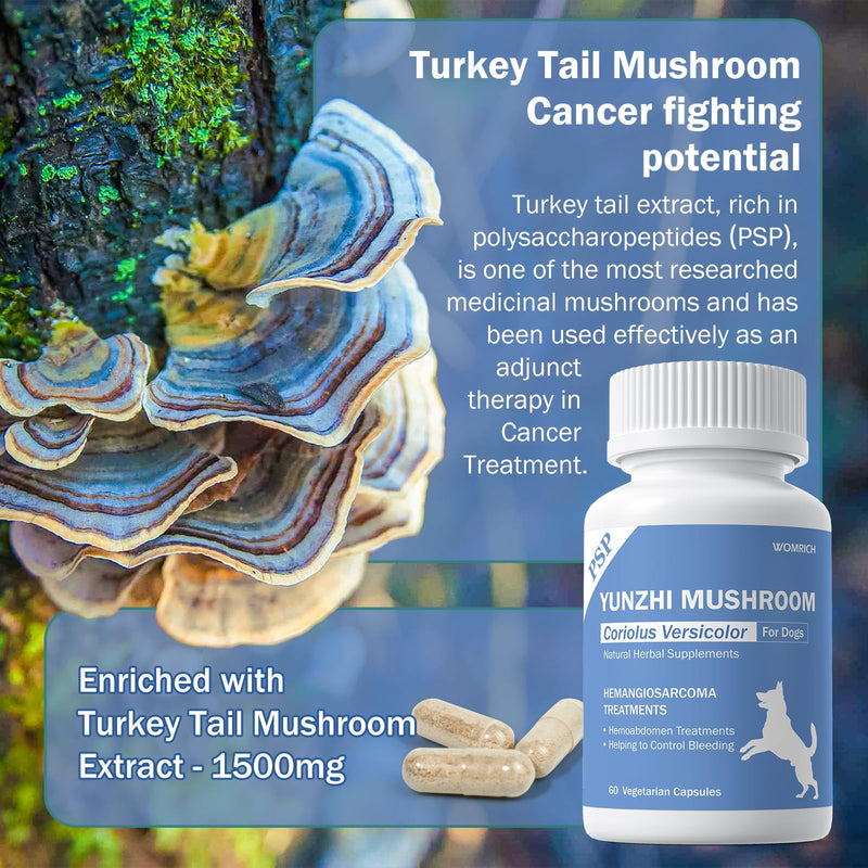 Quick Stop Bleeding for Dogs, Yunnan Sanqi Capsules for Dogs for Hemangiosarcoma, Hemoabdomen, Severe Bruising, Hemangiosarcoma & Hemoabdomen - Rich in PSP & Beta Glucans, Turkey Tail 60 Capsules