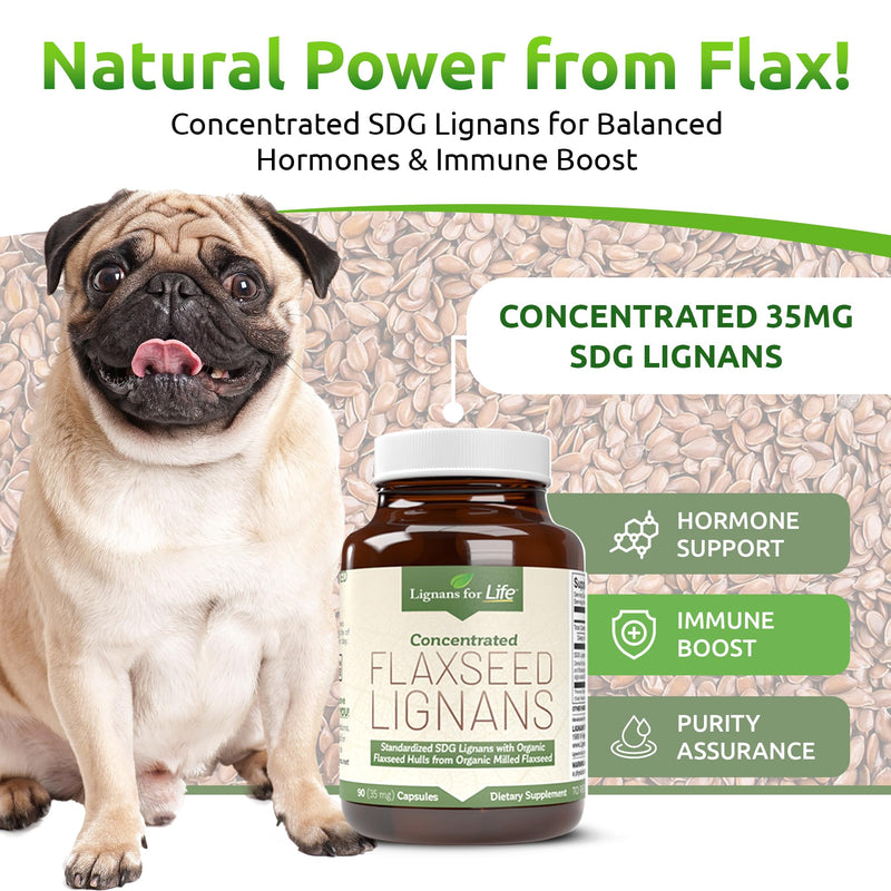 Lignans for Life Flaxseed Lignans for Dogs & People + SDG - Omega 3 Fatty Acids, High Fiber Antioxidants - Improve Shiny Coat, Digestive & Heart Health for Dogs, 35mg, 90 Flaxseed Capsules, 1 Pack 35mg, 90 Capsules, 1 Bottle - PawsPlanet Australia