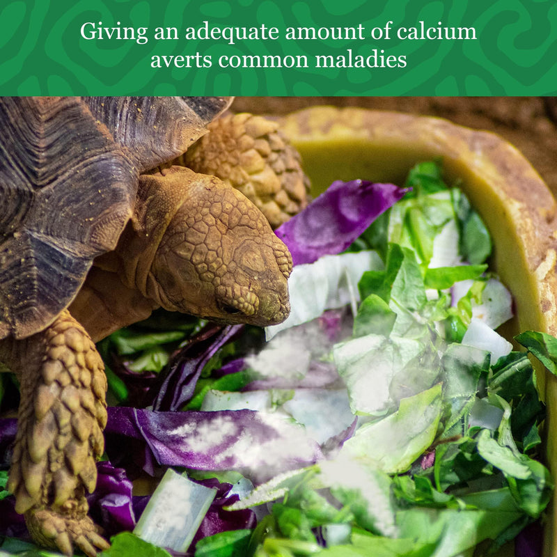 CoCoo Reptile Calcium Powder, Ideal for Leopard Geckos, Chameleons, Iguanas, Turtles, Chicken & Dog, Avoid Vitamin D3 Overdose in Bearded Dragons, Lizards Love It, Energy-rich Additional Feed, 2 oz. - PawsPlanet Australia