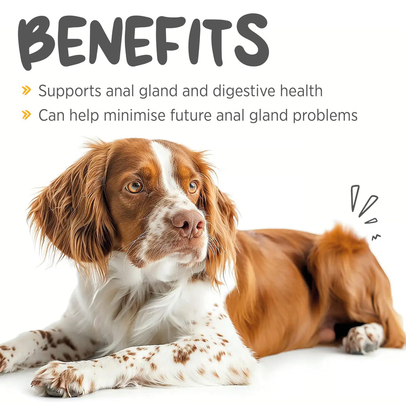 maxxiscoot Anal Gland & Digestive Health Support for Dogs - Powder Supplement, 5oz - PawsPlanet Australia