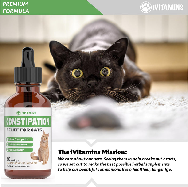 Cat Constipation Relief - Cat Laxative - Cat Laxative Constipation Relief - Constipation Relief for Cats -Constipation Relief for Cat - Cat Constipation - 1 fl oz - PawsPlanet Australia