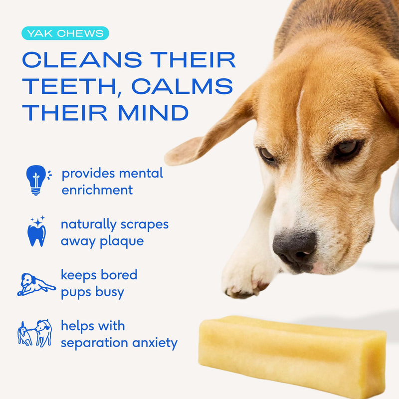 Native Pet The Daily Dog Vitamins & Supplements (30 Scoops) & Yak Chews (3 Medium Chews) - All Natural Dental Stick Made with Yak Cheese for Aggressive Chewers & 11-in-1 Multivitamin for Dogs