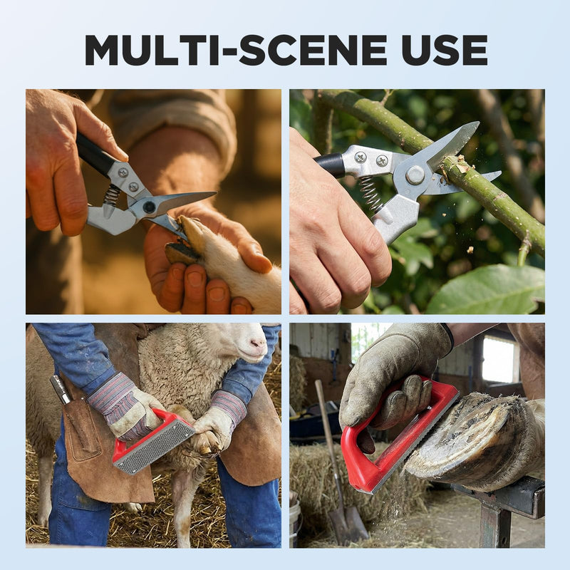 Goat Hoof Trimmers and Rasp Kit, Hoof Trimmers for Goats and Sheep Trimming Cutting and Smoothing, Farrier Supplies for Foals, Sheep, Ponies Donkeys, Garden Cutting Tool