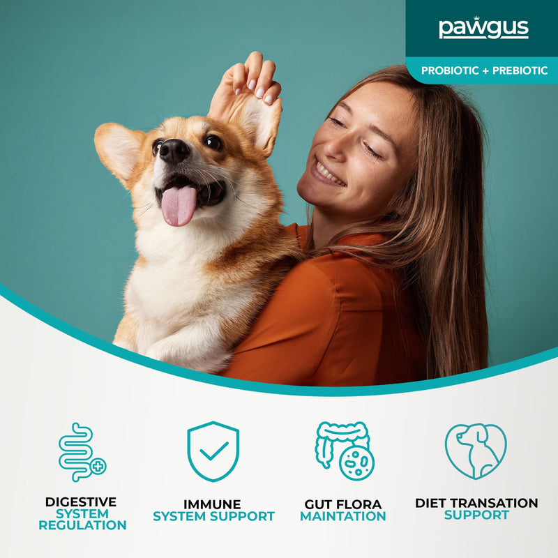 Ultimate Prebiotic and Probiotic Combo for Dogs Canine 30 Sachets - Digestive Enzymes for a Healthy Gut, Diarrhea Relief, Immune Support, Gas Relief, 7 Billion CFU, Vitamins - Vet Recommended