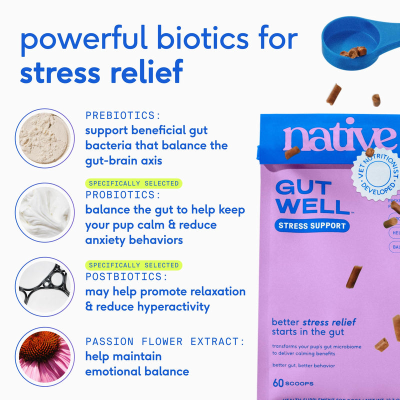 Native Pet Daily Wellness Bundle & Dog Anxiety Relief – 11-in-1 Vitamins and Supplements, Omega 3 Fish Oil for Dogs & Calming Supplement for Gut, Skin, Coat, Joint & Immune Support