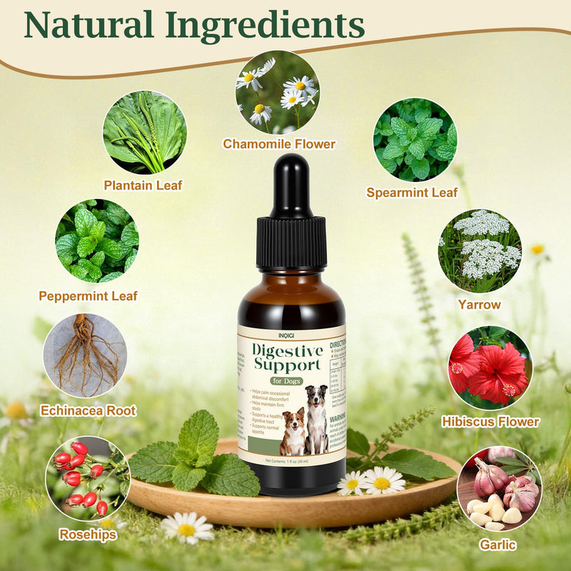 Digestive Support for Dogs and Puppies – Helps Maintain Stool Consistency, Gut Health & Appetite During Occasional Upset Stomach or Diet Changes, Sensitive Stomach Formula, 1 fl oz