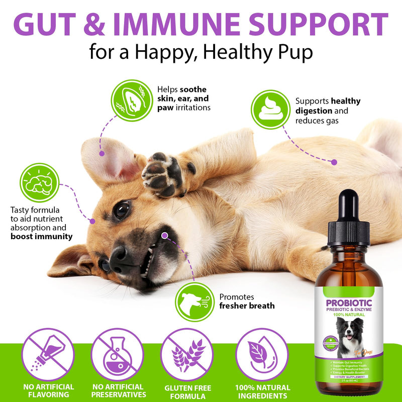 Dog Probiotic Drops, 3 in 1 Probiotic Supplement for Dogs with Natural Ingredients Supports Dog Digestive, Skin Coat & Immune Health, Daily Gut Support, Dogs Liquid Probiotic Supplement - 2 fl oz