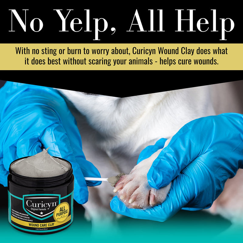 Animal Wound Care Clay 16oz. - Vet-Approved Natural Skin Ointment For Dog, Cat, Horse, and Other Livestock - Bentonite Clay with Aloe Treatment - Gentle No Sting Fast-Acting Formula - PawsPlanet Australia