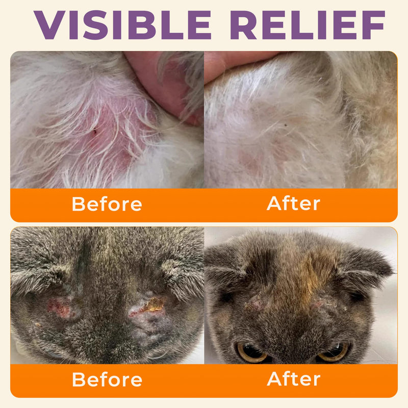 Dog Itchy Skin Relief Cream Hot Spot Treatment, Dogs Balm Rapid Healing Dry Itchy Skin with Colloidal Oatmeal Manuka Honey- 100g Lotion with Applicator