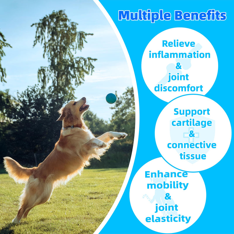 Advanced Hip & Joint Supplement for Dogs - 120 Soft Chews - Glucosamine, MSM, Chondroitin, Natural Anti-Inflammatory Formula for Optimal Mobility Support - PawsPlanet Australia