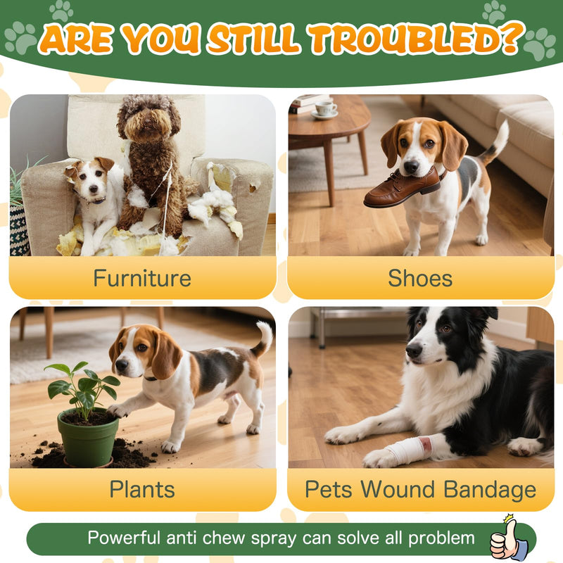 Dog Bitter Anti‑Chew Training Spray, Natural Gentle Formula Deterrent, Discourage Chewing Licking & Biting, Safely Protect Furniture Shoes & Belongings (Gentle Bitter) Gentle Bitter