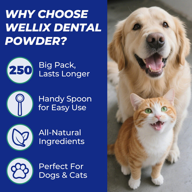 Wellix 8.82oz Dog Teeth Cleaning Powder - Dog Dental Care Powder and Cat Breath Freshener - Plaque and Tartar Remover with Enzymes & Mint for Dogs & Cats of All Ages and Breeds