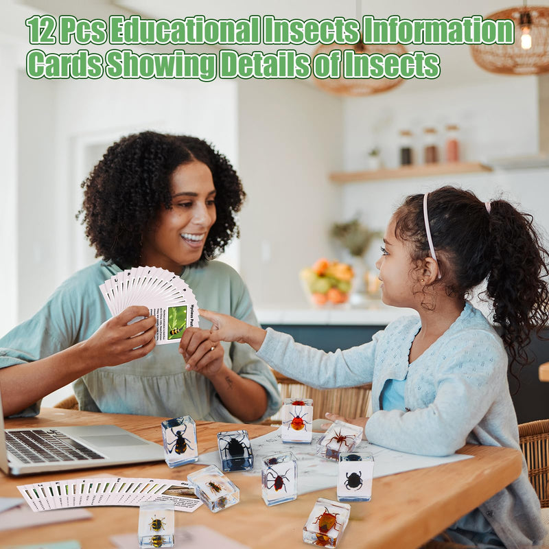 GlikCeil 12 Pcs Insect in Resin Specimen Bugs Discovery Kit Collection Paperweight Bug with Information Flash Cards Preserved in Resin with 10x Magnifier for Scientific Educational Display Supplies