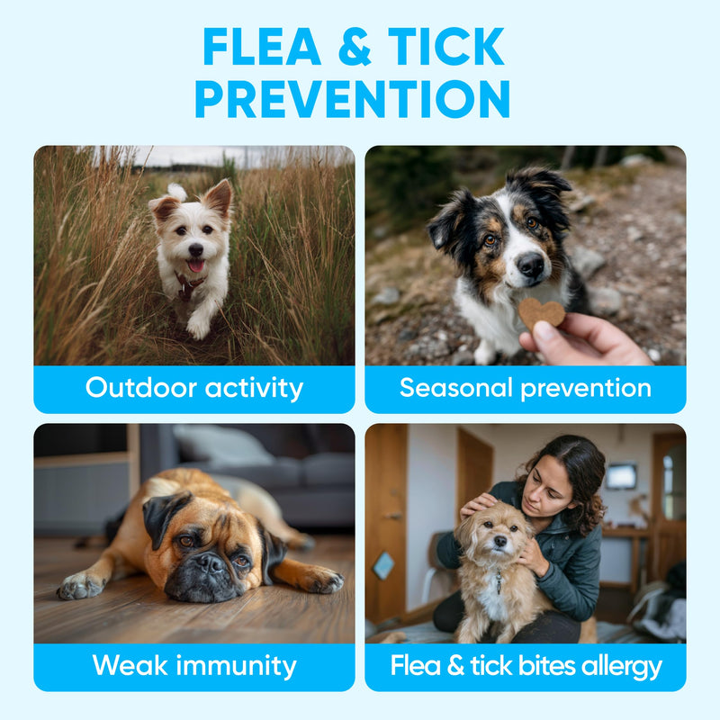 Chewable Flea and Tick Prevention for Dogs - 120 Soft Chews Made in USA - Oral Flea and Tick Control Pills for Small, Medium, Large Dogs and Puppies - Skin and Coat Supplement Treats for All Breeds Flea Support Chews