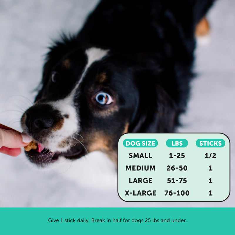 Pet Honesty Dental Health Fresh Sticks - Oral Hygiene Dental Sticks for Dogs - Dental Dog Chews - Freshen Dog Breath, Reduce Plaque + Tartar - 16 Sticks Dental Sticks Mint 15 Ounce (Pack of 1) - PawsPlanet Australia