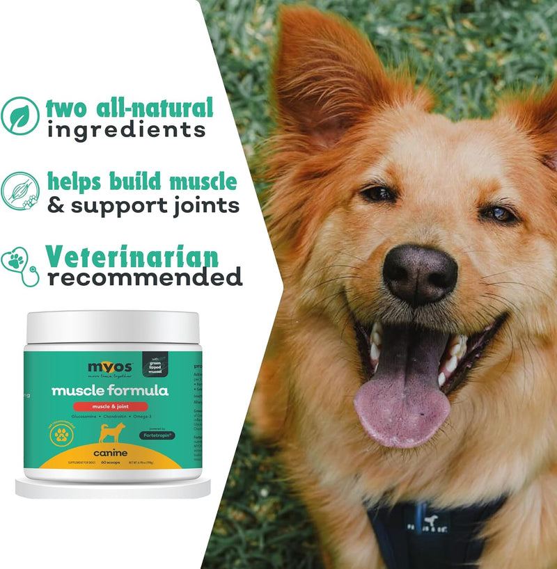 MYOS Muscle & Joint – All Natural Canine Joint Health Supplement Powered by Fortetropin with Green Lipped Mussel – Reduce Muscle Loss, Boost Joint Mobility & Improve Recovery and Reduce Inflammation - NewNest Australia