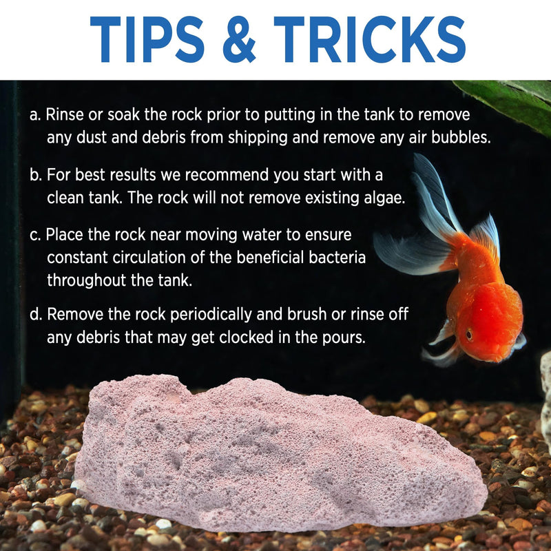 Fish Tank Rocks for Enhancing Water Clarity with Your Regular Cleaning Routine, Fish Friendly Aquarium Rocks, All Natural Aquarium Decor, Small, Up to 750 Gallons