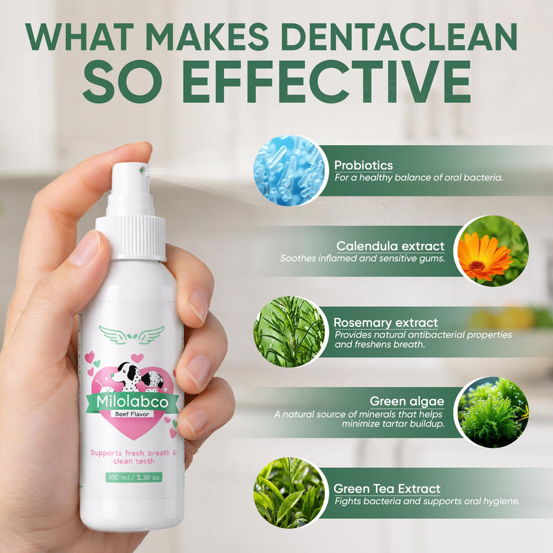 Milolabco Advanced Dental Spray, Natural Source of Minerals that Helps Minimize Tartar Buildup, Freshens Breath, for Healthy Balance of Oral, Milolabco Dog Dental Spray, Supports Oralhygiene, 100ml 1