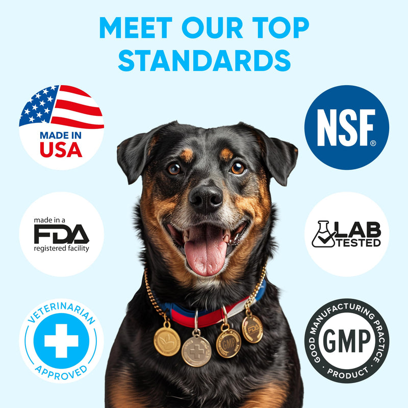Chewable Flea and Tick Prevention for Dogs - 120 Soft Chews Made in USA - Oral Flea and Tick Control Pills for Small, Medium, Large Dogs and Puppies - Skin and Coat Supplement Treats for All Breeds Flea Support Chews