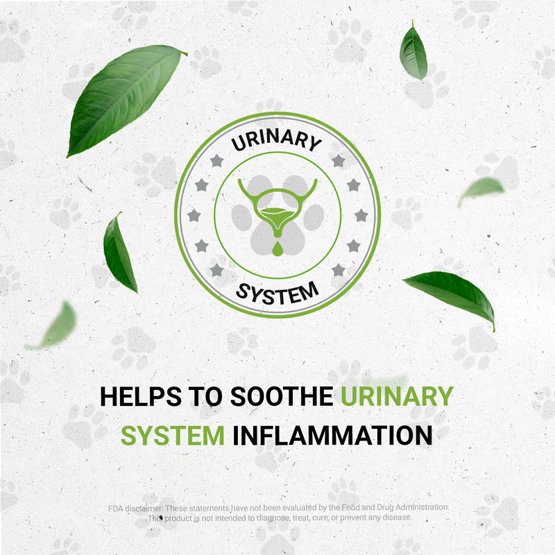 Wolf's Kidney | Natural Herbal Dietary Supplement | Healthy Kidney Function Support in Dogs | Alcohol-Free Extract, Rehmannia, Ginkgo, Echinacea, Marshmallow, Couch Grass, Hawthorn, Uva Ursi 2 oz - PawsPlanet Australia